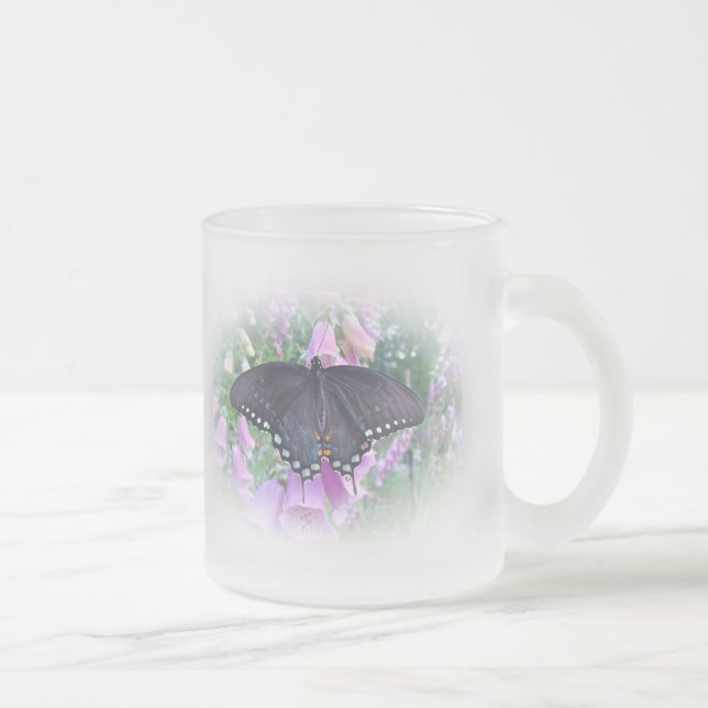 Weibliches Spicebush-Frack Butterfly Mattglastasse (Rechts)
