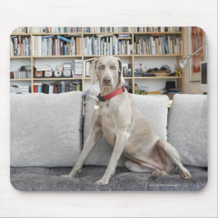 Weibliches Tier Mousepad
