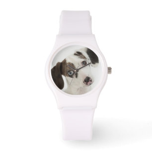 Weibliches Welpenanstarren der Dackel/des Armbanduhr