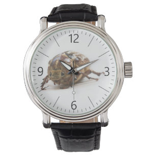 Weiblichkeit des Käfers aus Polyphylla fullo Armbanduhr