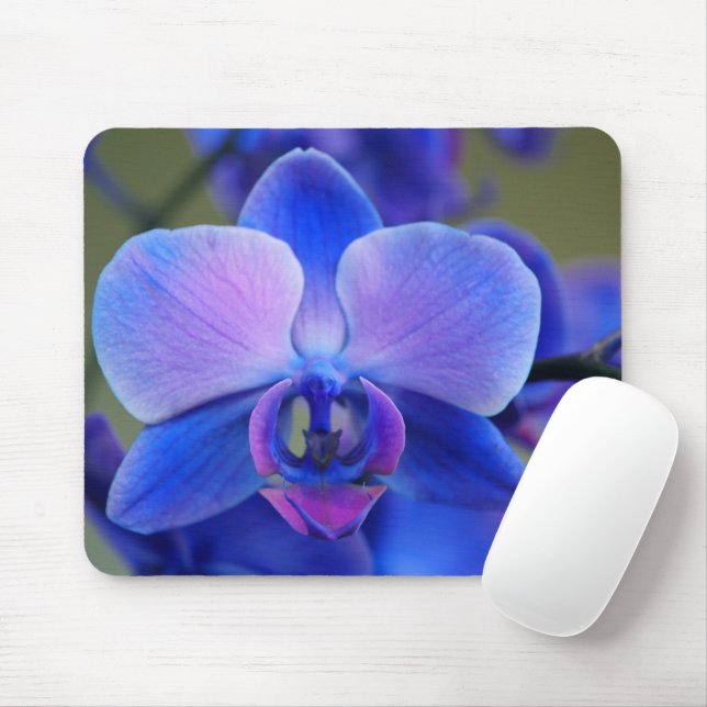 Weich blau und rosa Orchid Mousepad (Mit Mouse)