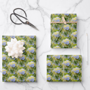 Weich blauer Hydrangea Blume Muster Natur   Geschenkpapier Set