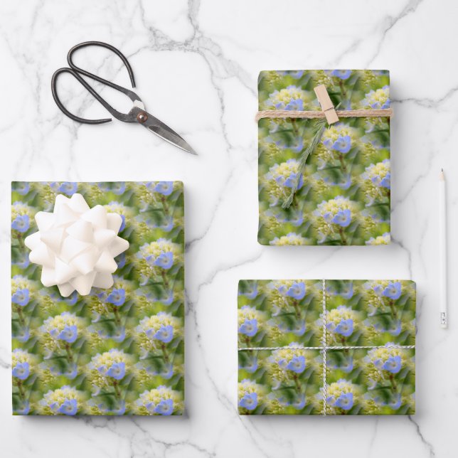 Weich blauer Hydrangea Blume Muster Natur   Geschenkpapier Set (Vorderseite)