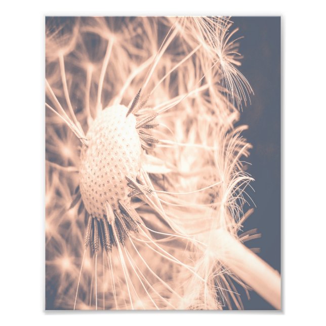 Weich Fairytale Pink Kronleuchter Blowball 2 Fotodruck (Vorne)
