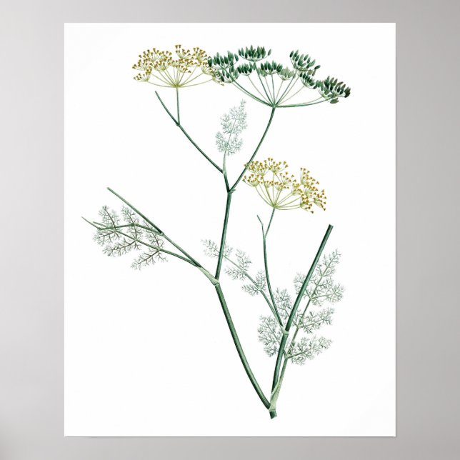 Weich grüner Botanischer Garten IV Poster (Vorne)