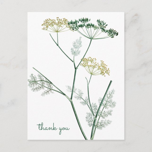 Weich grünes Botanisches IV - Vielen Dank Postkarte (Vorderseite)