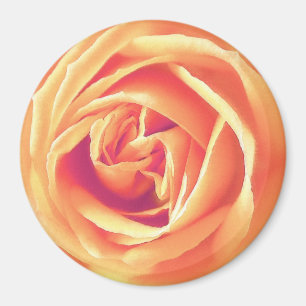 Weich orange Rose Magnet