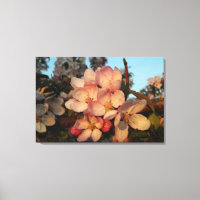 Weich rosa Apfelblüten Wrapped Canvas Print