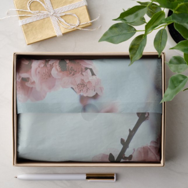 Weich rosa Kirschblossom Gewebepapier Seidenpapier (Geschenk)