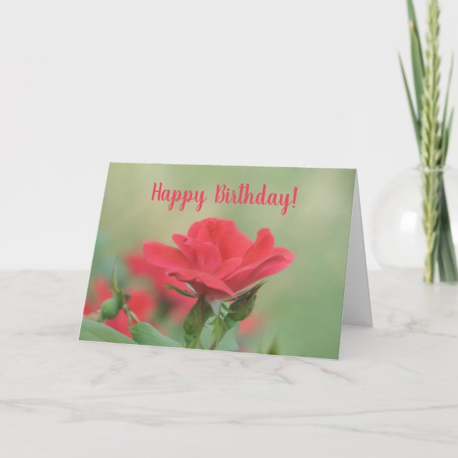 Weich rosa Rose Geburtstagkarte Karte (Vorderseite)