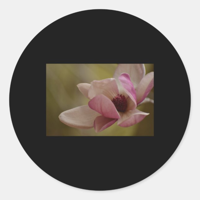 Weich rosa Träume blühen Sticker (Vorderseite)