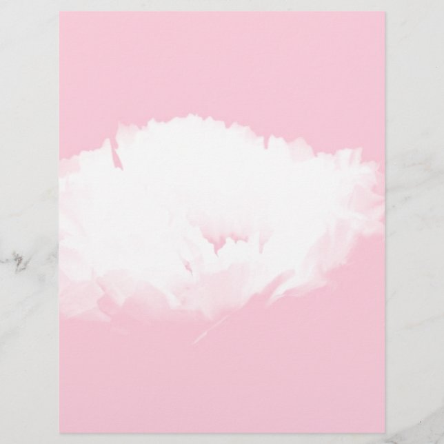 Weich rosa Weißes Peony - Blumen (Vorderseite)