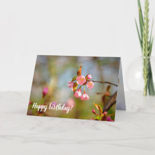 Weich rosa zitternde Sakura-Blume im Springtime Karte