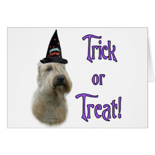 Weich überzogener Radtrick