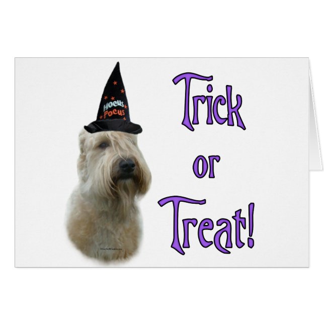 Weich überzogener Radtrick (Vorderseite (Horizontal))