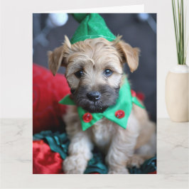 Weich überzogenes Wheaten Terrier Elf Karte