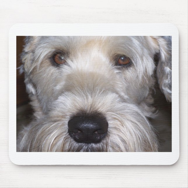Weich überzogenes Wheaten Terrier Mousepad (Vorne)