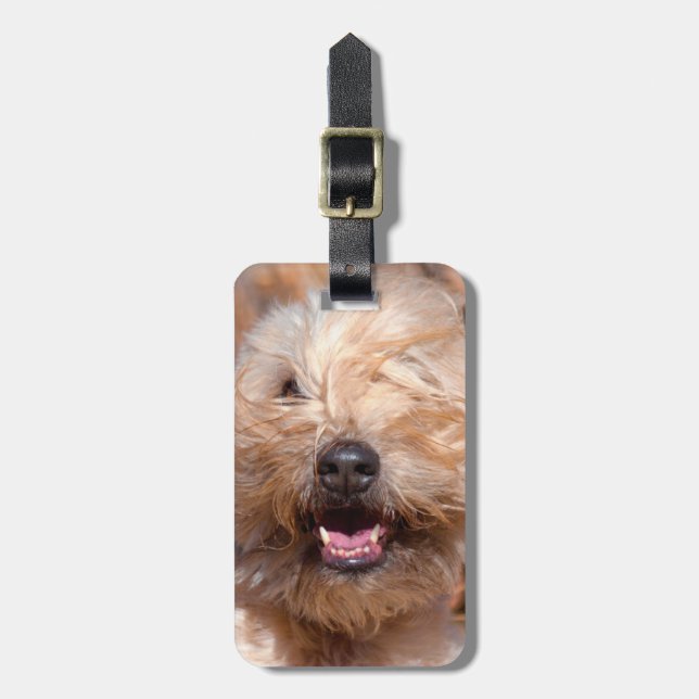 Weich überzogenes Wheaten Terrier-Porträt Gepäckanhänger (Vorderseite vertikal)