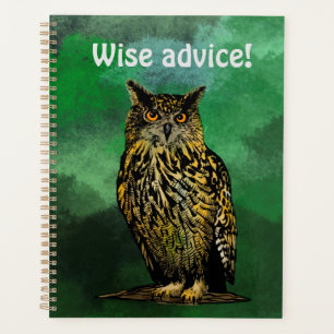 Weiche Beratung Owl Planer