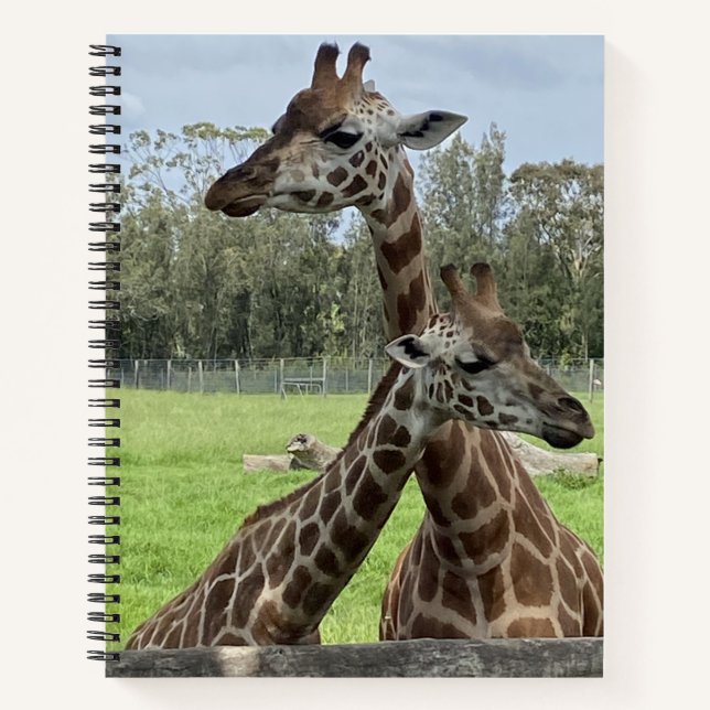 Weiche, erdige Farben, Giraffen - Notebook-Muster Notizbuch (Vorderseite)