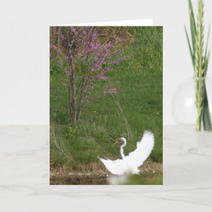 Weiche Landung Karte