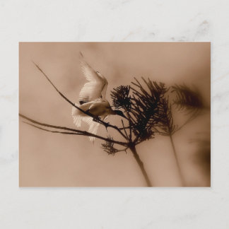 weiche Landung Postkarte