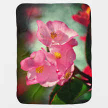 Weiche rosa Blumen