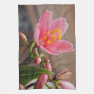 Weiche rosa Jatropha-Blüte Geschirrtuch