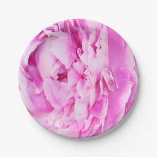 Weiche rosa Pfingstrose-Papierplatten Pappteller