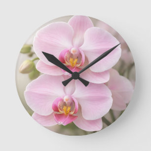 Weiche rosa Phalaenopsis-Orchidee Runde Wanduhr