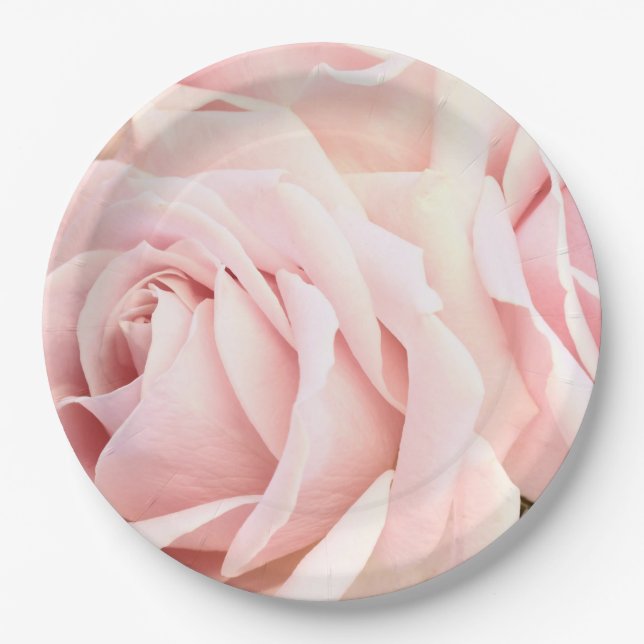 Weiche rosa Rosen Pappteller (Vorderseite)