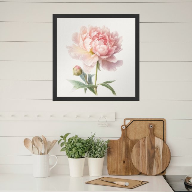 Weiche, rosafarbene Pink-Peonie auf dem Bloom-Plat Poster (Von Creator hochgeladen)