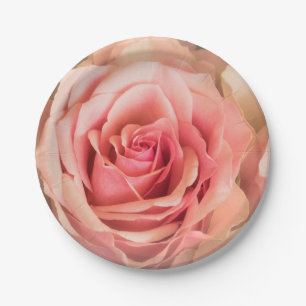 Weiche Rose Rosa Pappteller