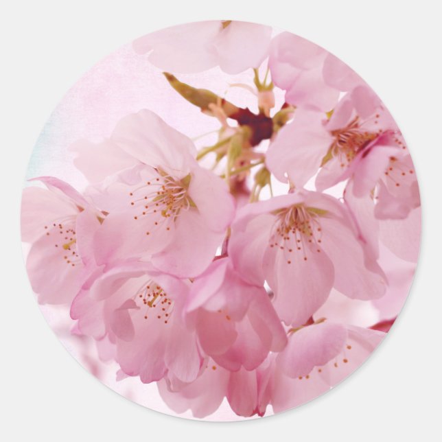 Weiche Vintage rosa Kirschblüten Runder Aufkleber (Vorderseite)