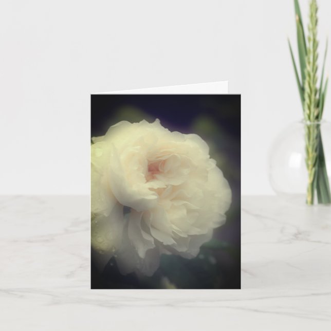 Weiche weiße Rose-Blume, anpassbare Note Card Dankeskarte (Vorderseite)
