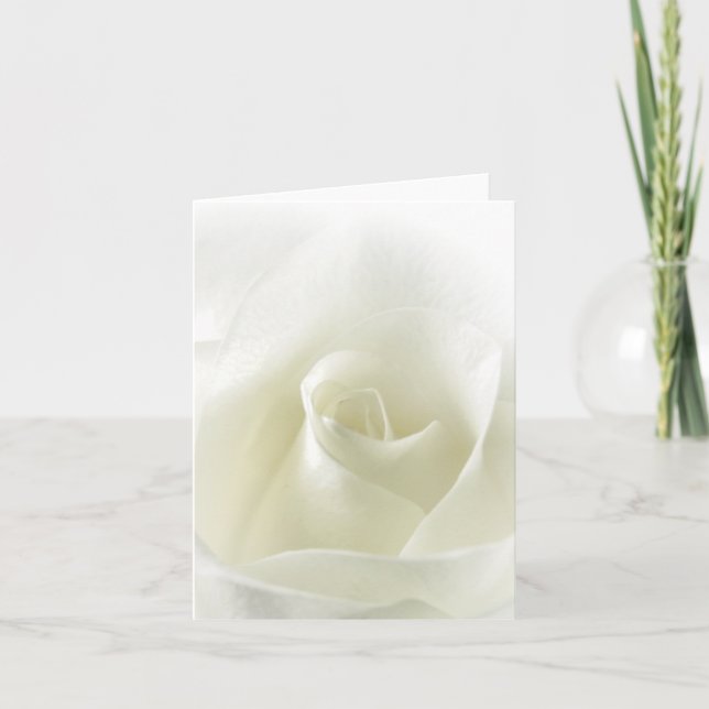 Weiche weiße Rosen-Anmerkungs-Karte Karte (Vorderseite)