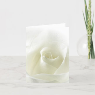 Weiche weiße Rosen-Anmerkungs-Karte Karte