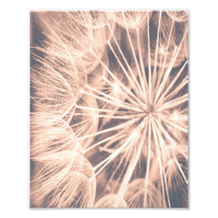 Weicher Fairytale Pink Kronleuchter Blowball 6 Fotodruck