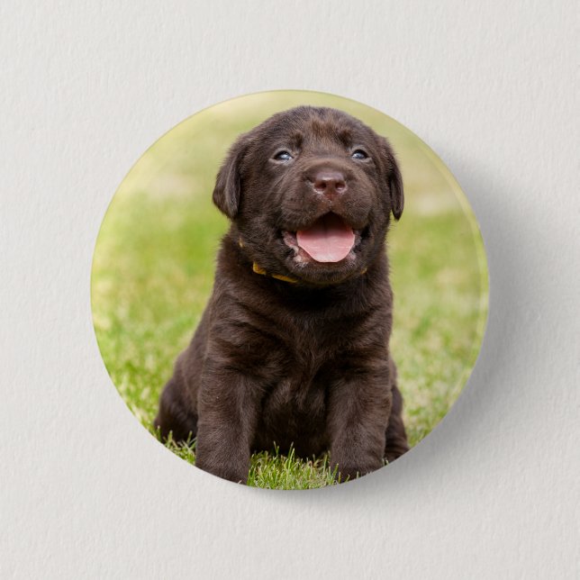 Weicher Hund des Welpen Button (Vorderseite)