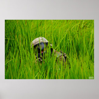 Weicher in Sägeblättern Poster