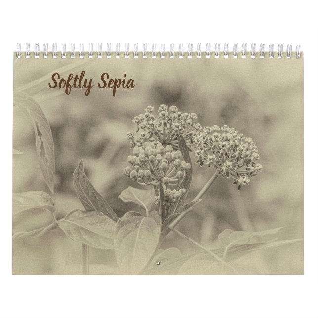 Weicher Sepia-Kalender Kalender (Titelbild)