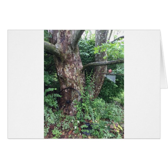 Weicher Sommerregen (Vorderseite (Horizontal))