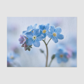 Weiches Blaues Florales Vergissmeinnicht Makro Seidenpapier