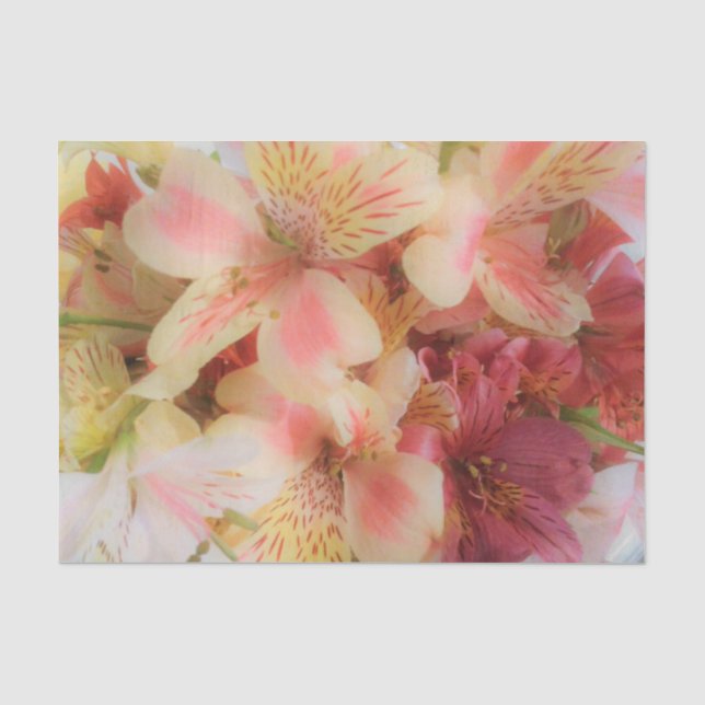 Weiches Blumen Seidenpapier (Vorderseite)