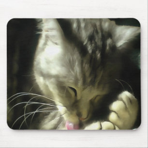 Weiches und sanftes Fell und Purr einer grauen Kat Mousepad
