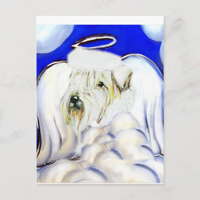 Weiches Wetter Postkarte (Vorderseite)