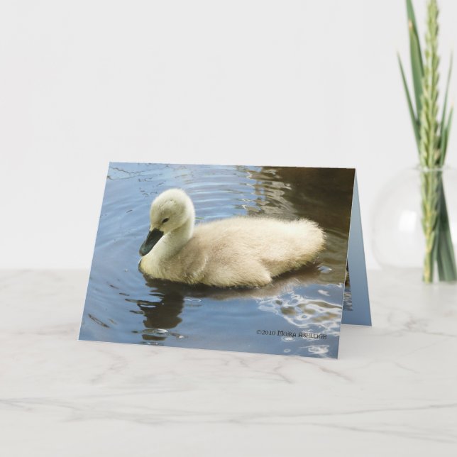 Weichheit eines Kindes Karte (Vorderseite)