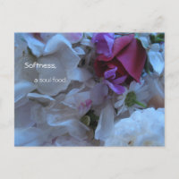 Weichheit, Soul-Essen,
