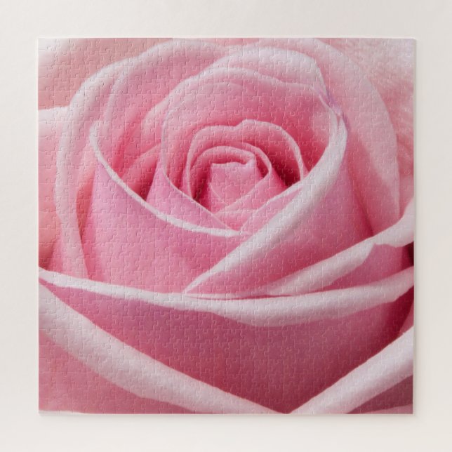 Weichrosa Rose (Vertikal)