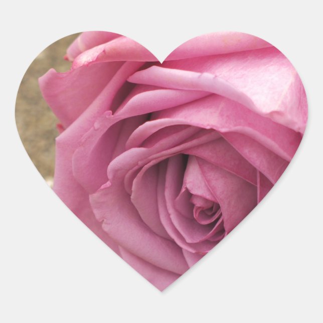 Weichrosa Rose Herz-Aufkleber (Vorderseite)